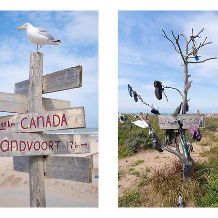 Salty Beachhouse Noordwijk Dış mekan fotoğraf